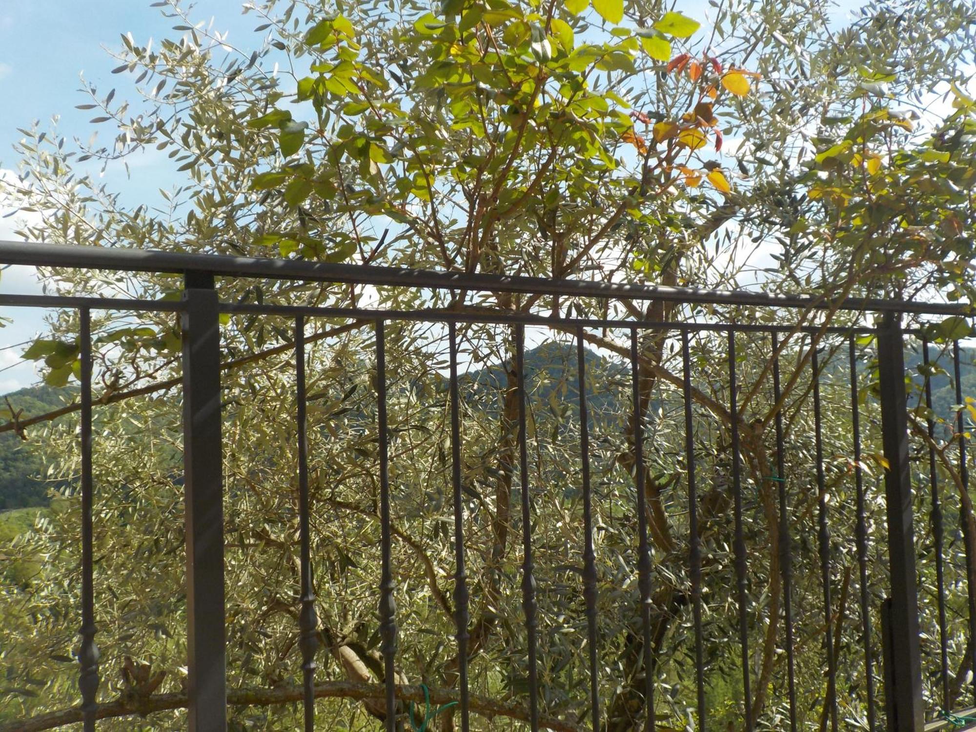 Colle Del Sole Hotel Miane Екстериор снимка